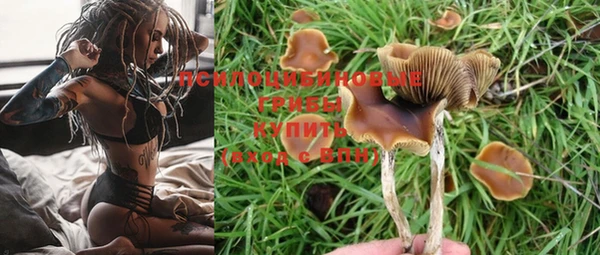трава Аркадак