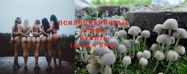 МДПВ Армянск