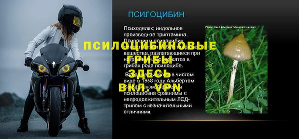 трава Аркадак